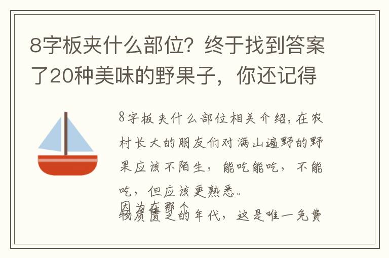 8字板夾什么部位？終于找到答案了20種美味的野果子，你還記得幾種？一起來認(rèn)識(shí)下，漲知識(shí)不吃虧