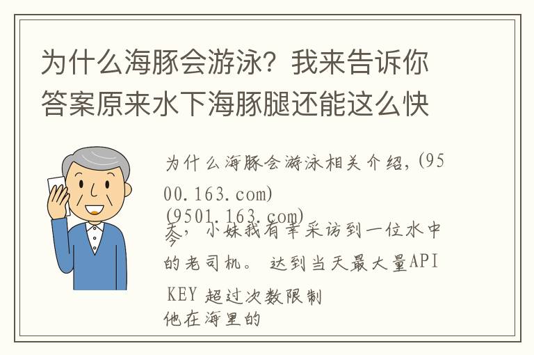 為什么海豚會游泳？我來告訴你答案原來水下海豚腿還能這么快！海上老司機獨家專訪