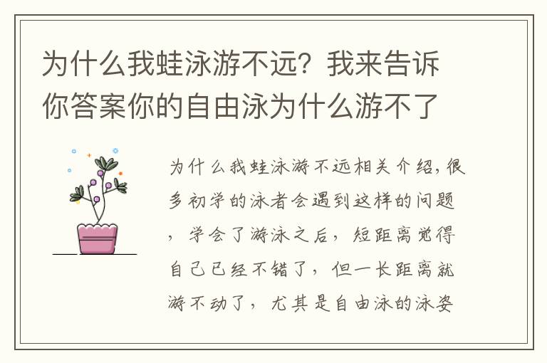 為什么我蛙泳游不遠(yuǎn)？我來(lái)告訴你答案你的自由泳為什么游不了長(zhǎng)距離？