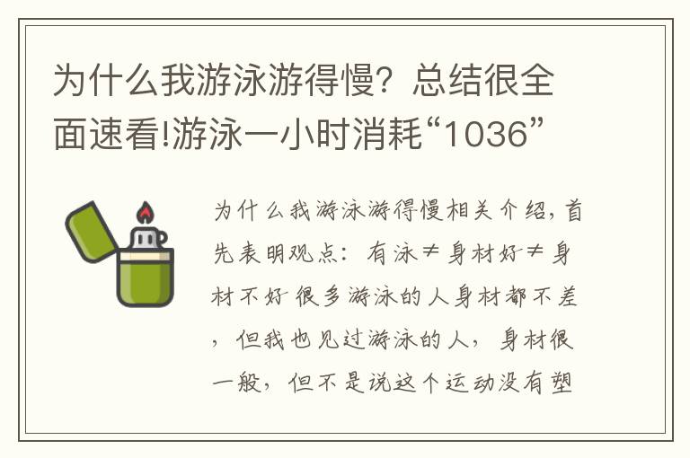 為什么我游泳游得慢？總結(jié)很全面速看!游泳一小時(shí)消耗“1036”大卡？可你去游泳館，見到的人都是胖子！