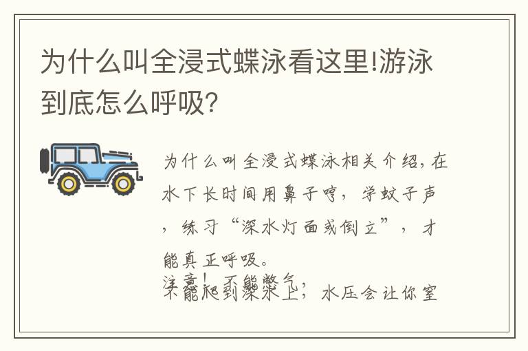 為什么叫全浸式蝶泳看這里!游泳到底怎么呼吸？