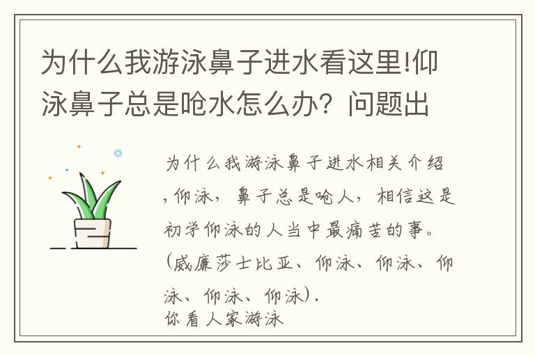 為什么我游泳鼻子進(jìn)水看這里!仰泳鼻子總是嗆水怎么辦？問題出在這里