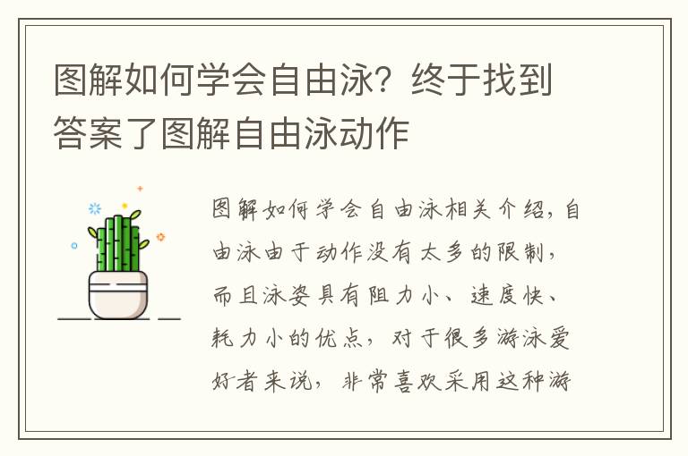 圖解如何學會自由泳？終于找到答案了圖解自由泳動作