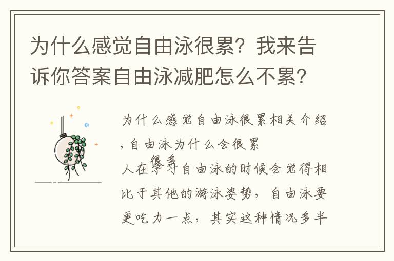 為什么感覺自由泳很累？我來(lái)告訴你答案自由泳減肥怎么不累？掌握動(dòng)作要領(lǐng)就好了