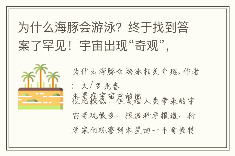 為什么海豚會(huì)游泳？終于找到答案了罕見！宇宙出現(xiàn)“奇觀”，木星上有一只“海豚”在游泳