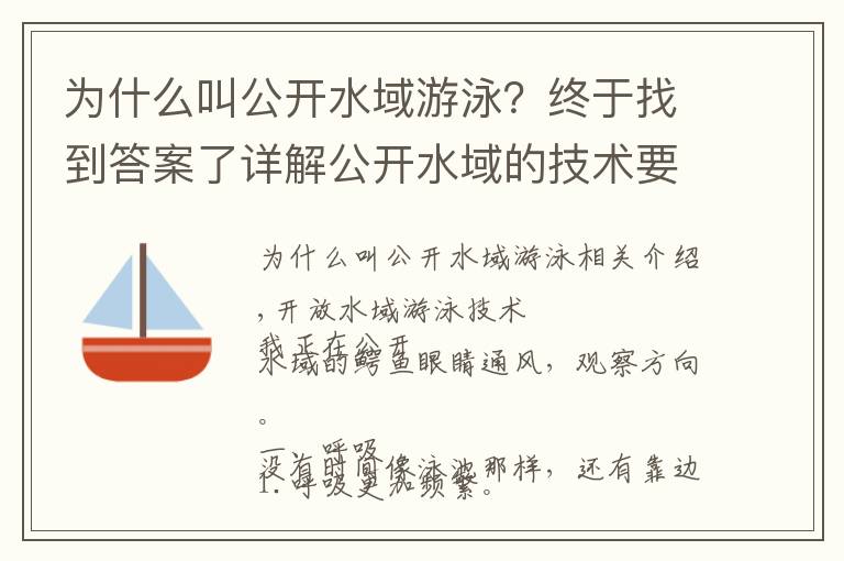 為什么叫公開水域游泳？終于找到答案了詳解公開水域的技術(shù)要點(diǎn)，呼吸，劃水，方向和心理