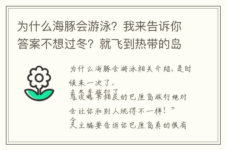 為什么海豚會(huì)游泳？我來(lái)告訴你答案不想過(guò)冬？就飛到熱帶的島嶼和海豚一起游泳吧