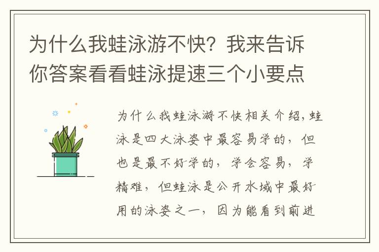 為什么我蛙泳游不快？我來告訴你答案看看蛙泳提速三個(gè)小要點(diǎn)