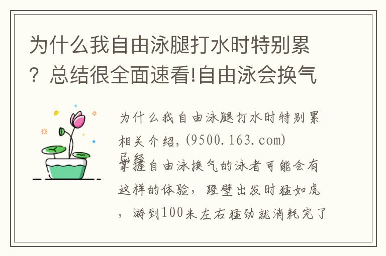 為什么我自由泳腿打水時特別累？總結很全面速看!自由泳會換氣卻越游越累，常見的三個主要原因