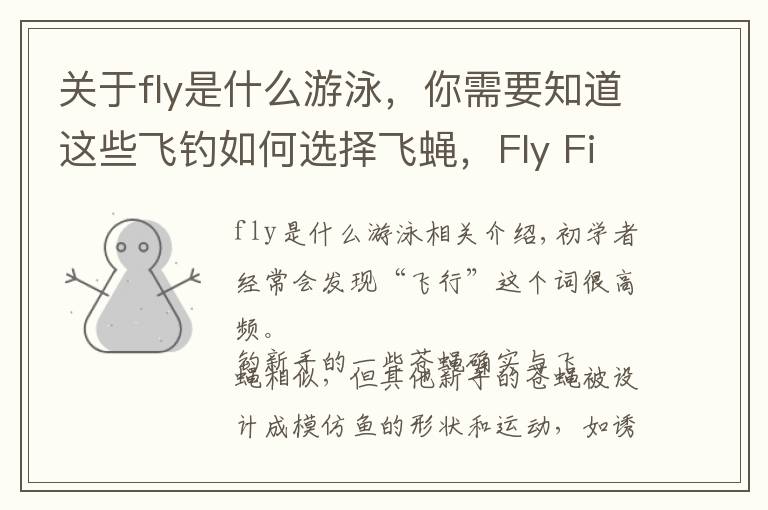 關(guān)于fly是什么游泳，你需要知道這些飛釣如何選擇飛蠅，F(xiàn)ly Fishing Flies