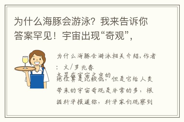 為什么海豚會游泳？我來告訴你答案罕見！宇宙出現(xiàn)“奇觀”，木星上有一只“海豚”在游泳