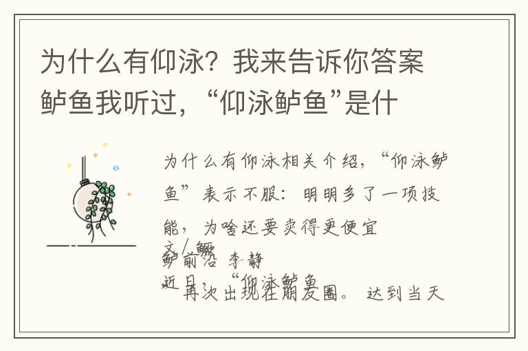 為什么有仰泳？我來告訴你答案鱸魚我聽過，“仰泳鱸魚”是什么鬼？