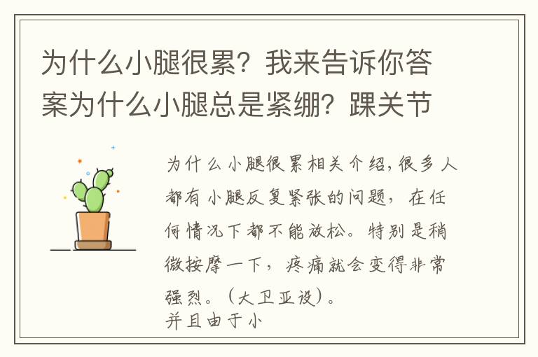 為什么小腿很累？我來告訴你答案為什么小腿總是緊繃？踝關(guān)節(jié)活動受限？