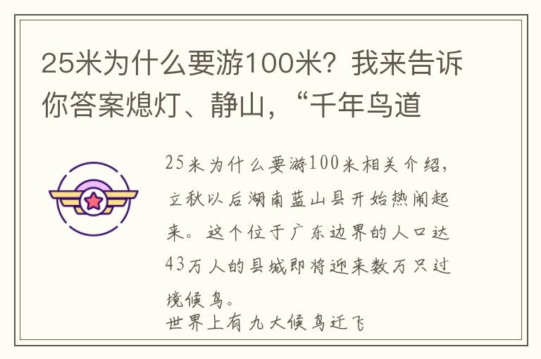 25米為什么要游100米？我來告訴你答案熄燈、靜山，“千年鳥道”上縣城與候鳥的“相處之道”