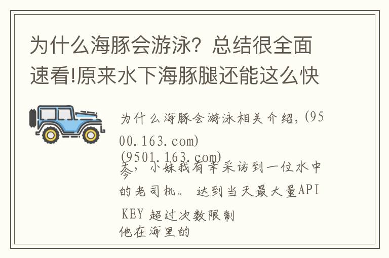 為什么海豚會游泳？總結(jié)很全面速看!原來水下海豚腿還能這么快！海上老司機獨家專訪