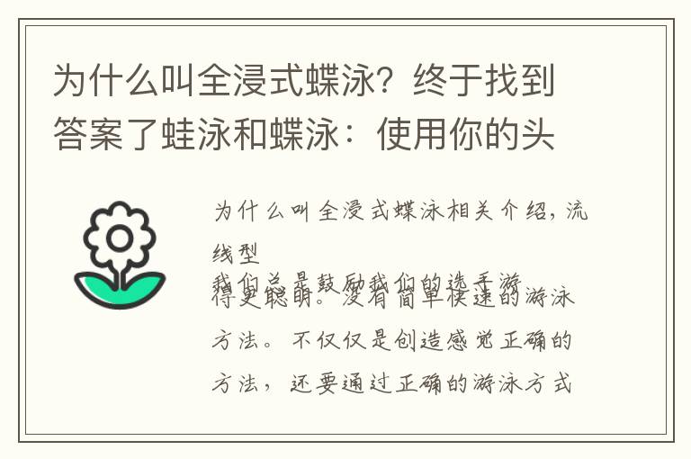 為什么叫全浸式蝶泳？終于找到答案了蛙泳和蝶泳：使用你的頭部