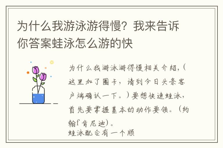 為什么我游泳游得慢？我來告訴你答案蛙泳怎么游的快