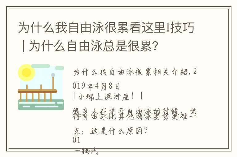 為什么我自由泳很累看這里!技巧 | 為什么自由泳總是很累？