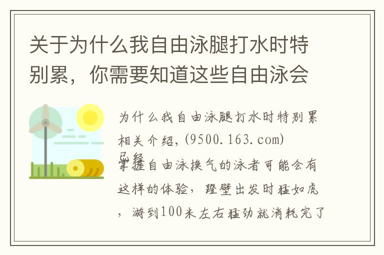 關(guān)于為什么我自由泳腿打水時特別累，你需要知道這些自由泳會換氣卻越游越累，常見的三個主要原因