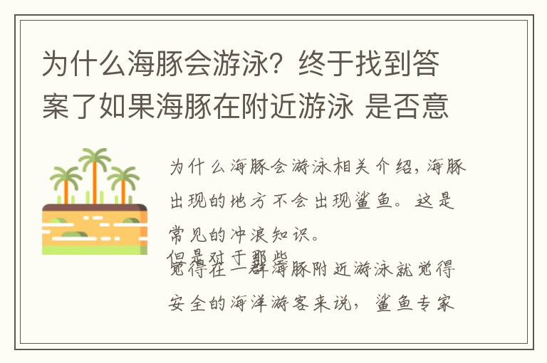 為什么海豚會游泳？終于找到答案了如果海豚在附近游泳 是否意味著鯊魚不在附近