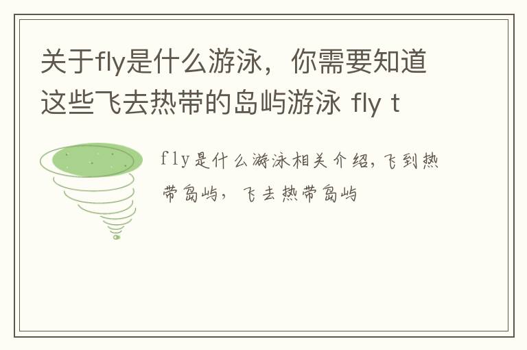 關(guān)于fly是什么游泳，你需要知道這些飛去熱帶的島嶼游泳 fly to tropical island