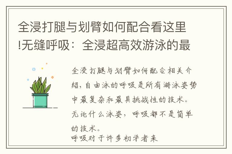 全浸打腿與劃臂如何配合看這里!無縫呼吸：全浸超高效游泳的最后一環(huán)