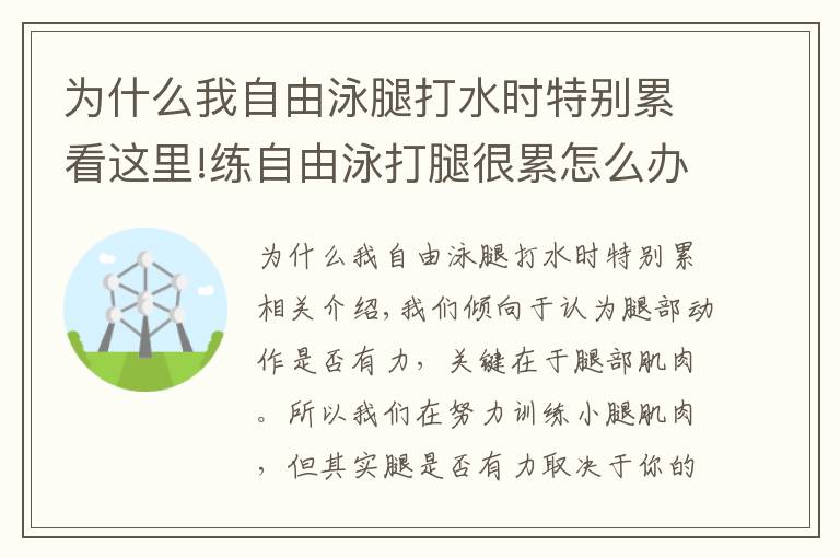 為什么我自由泳腿打水時特別累看這里!練自由泳打腿很累怎么辦？