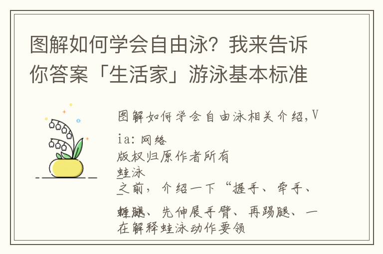 圖解如何學(xué)會自由泳？我來告訴你答案「生活家」游泳基本標(biāo)準(zhǔn)姿勢詳細圖解