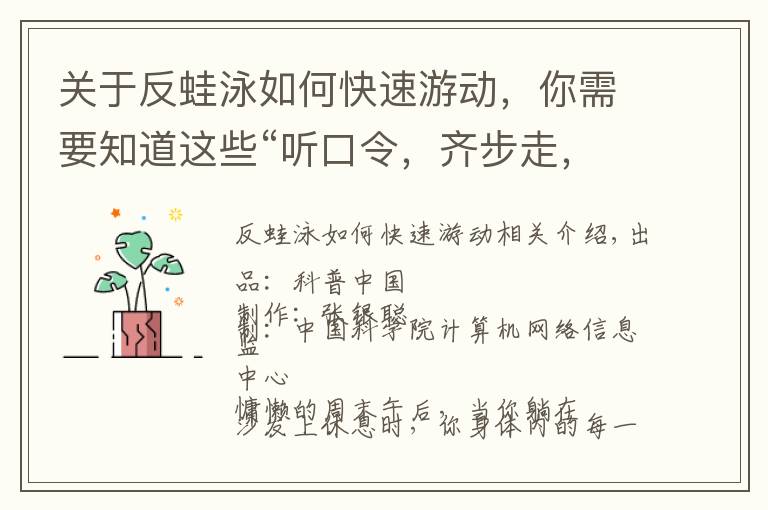 關于反蛙泳如何快速游動，你需要知道這些“聽口令，齊步走，細胞干活去”