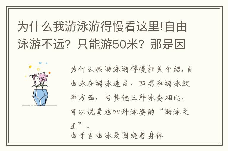 為什么我游泳游得慢看這里!自由泳游不遠？只能游50米？那是因為你沒有這樣做