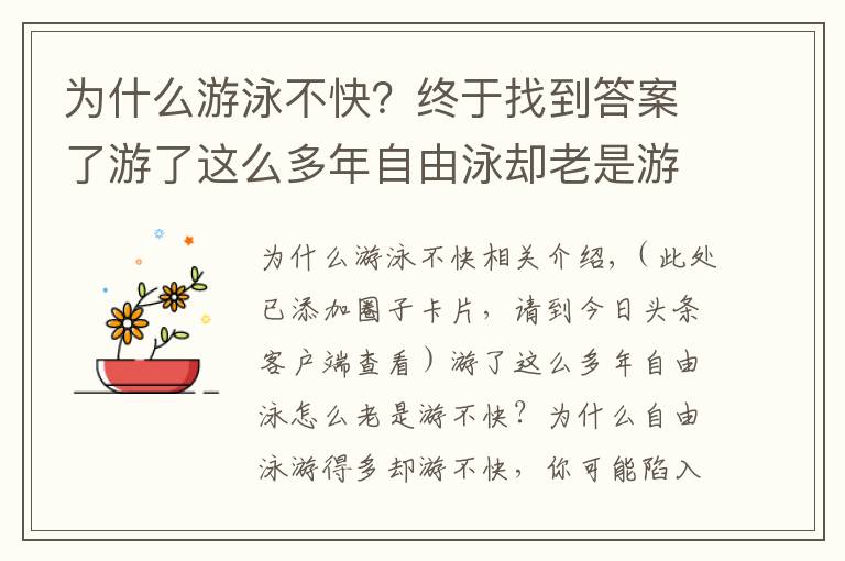 為什么游泳不快？終于找到答案了游了這么多年自由泳卻老是游不快，請走出這些誤區(qū)