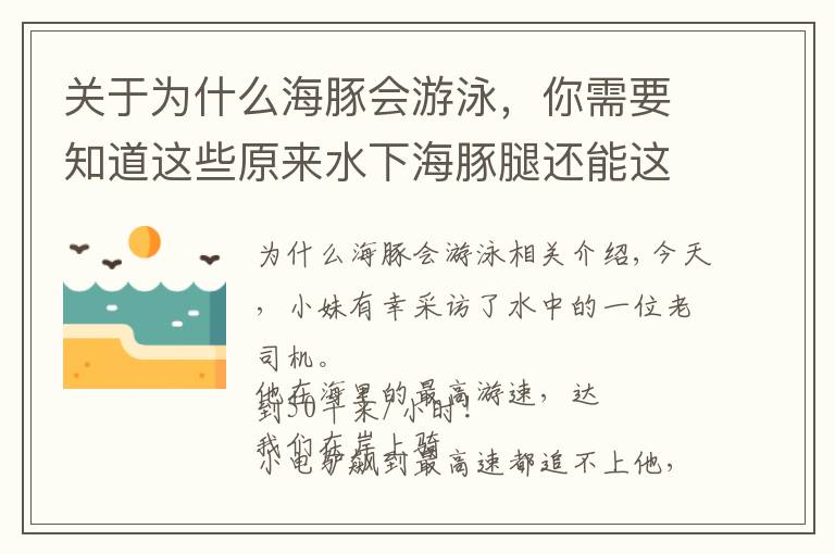 關(guān)于為什么海豚會游泳，你需要知道這些原來水下海豚腿還能這么快！海上老司機獨家專訪