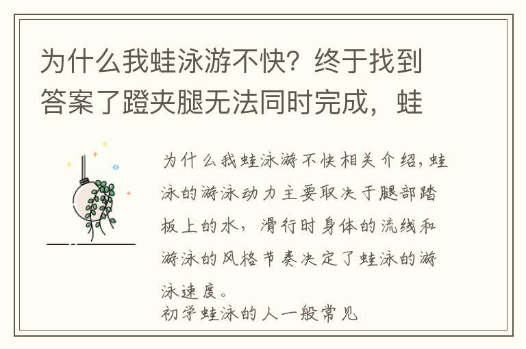 為什么我蛙泳游不快？終于找到答案了蹬夾腿無法同時完成，蛙泳游進速度慢主要原因分析