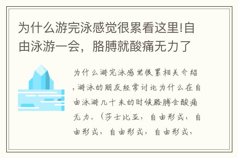 為什么游完泳感覺很累看這里!自由泳游一會，胳膊就酸痛無力了？是因為發(fā)力點弄錯了