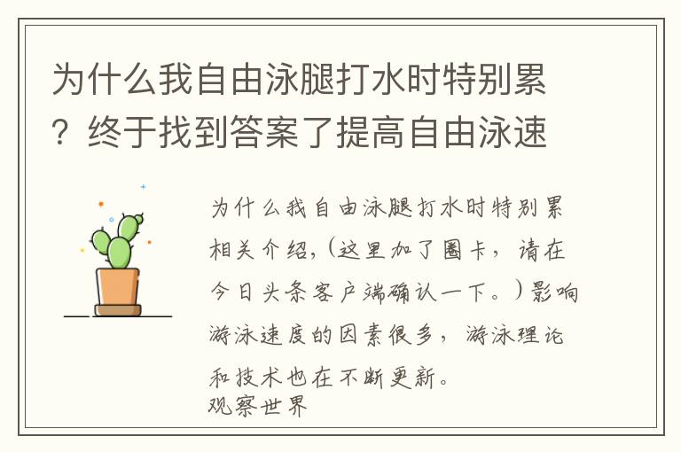 為什么我自由泳腿打水時特別累？終于找到答案了提高自由泳速度完整訣竅，“從頭到腳”解析