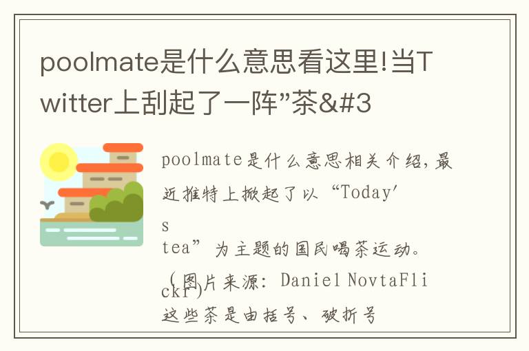 poolmate是什么意思看這里!當(dāng)Twitter上刮起了一陣"茶"文化，這事兒可不太妙