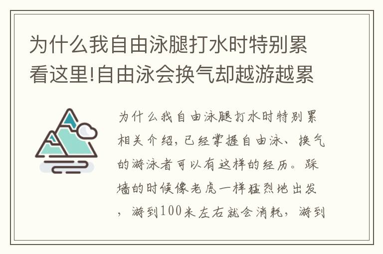 為什么我自由泳腿打水時特別累看這里!自由泳會換氣卻越游越累，常見的三個主要原因