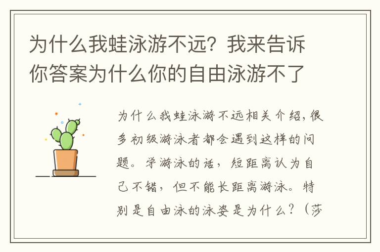 為什么我蛙泳游不遠？我來告訴你答案為什么你的自由泳游不了長距離？