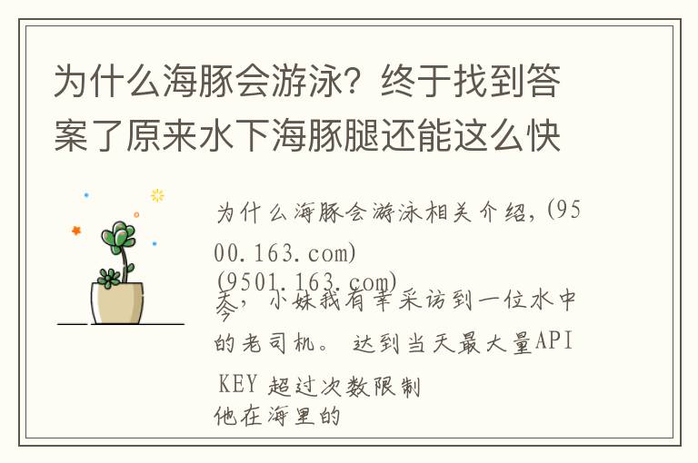 為什么海豚會游泳？終于找到答案了原來水下海豚腿還能這么快！海上老司機獨家專訪