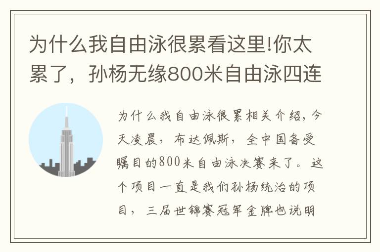 為什么我自由泳很累看這里!你太累了，孫楊無緣800米自由泳四連冠，賽后直接趴到泳池邊