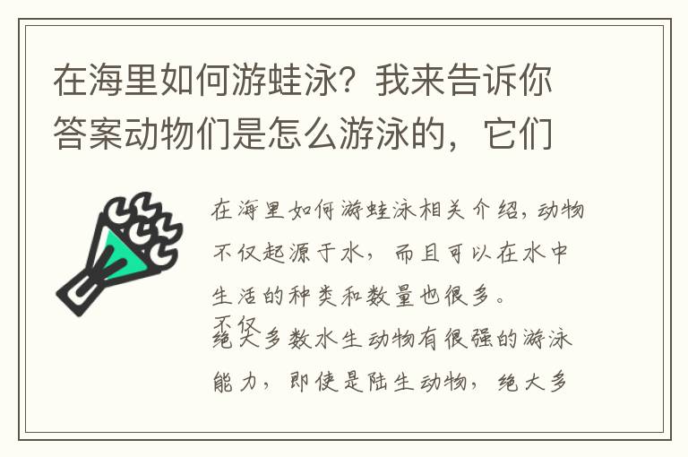 在海里如何游蛙泳？我來告訴你答案動物們是怎么游泳的，它們游泳都會使用什么“特殊”技巧？