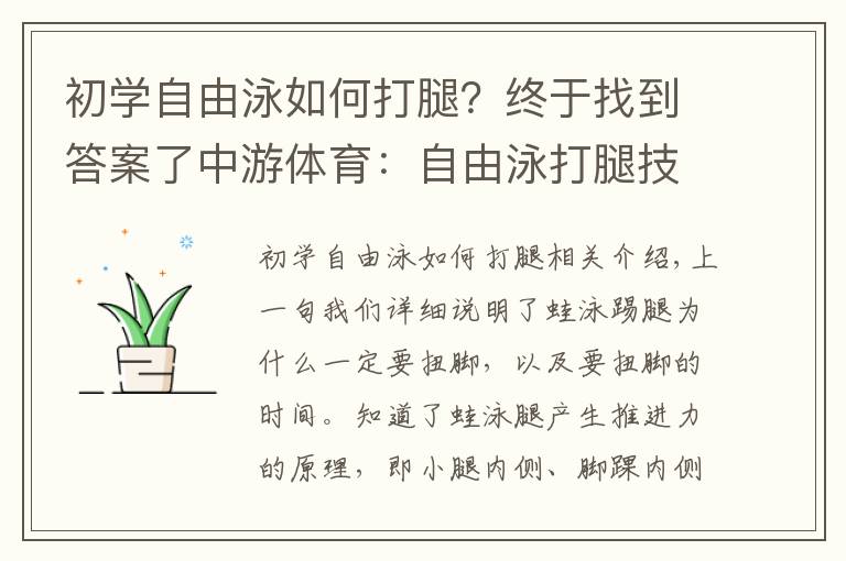 初學(xué)自由泳如何打腿？終于找到答案了中游體育：自由泳打腿技術(shù)的前進(jìn)原理以及注意事項(xiàng)