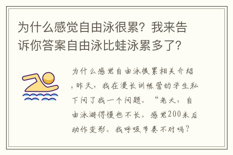 為什么感覺自由泳很累？我來告訴你答案自由泳比蛙泳累多了？動(dòng)作容易變形？你需要換一種訓(xùn)練方式