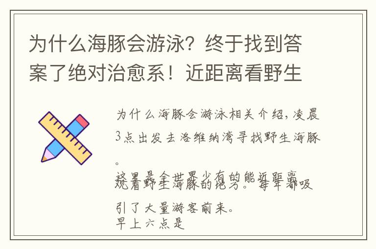 為什么海豚會游泳？終于找到答案了絕對治愈系！近距離看野生海豚自由自在游泳，半宿不睡也很值