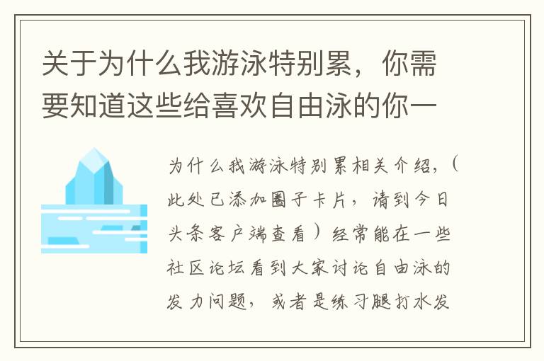 關于為什么我游泳特別累，你需要知道這些給喜歡自由泳的你一點建議