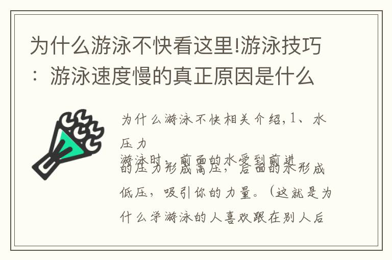 為什么游泳不快看這里!游泳技巧：游泳速度慢的真正原因是什么？