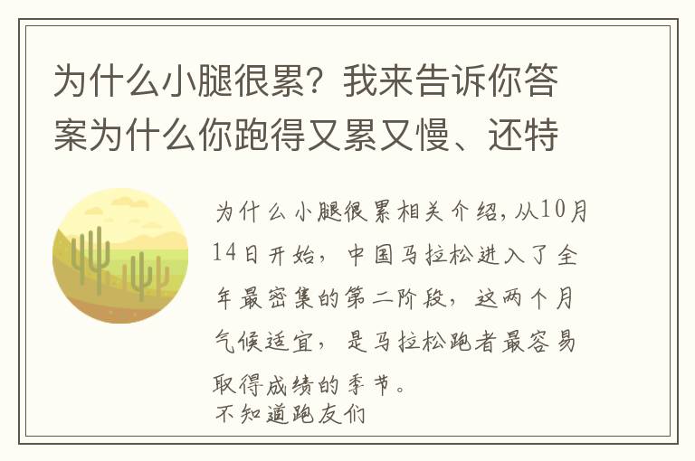 為什么小腿很累？我來告訴你答案為什么你跑得又累又慢、還特容易受傷？