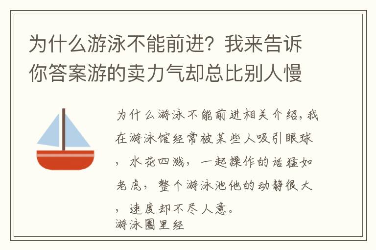 為什么游泳不能前進？我來告訴你答案游的賣力氣卻總比別人慢，除了“玩命游”你更該學會游泳正確發(fā)力