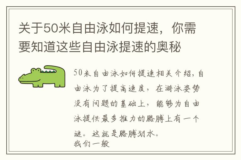 關于50米自由泳如何提速，你需要知道這些自由泳提速的奧秘