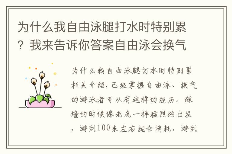 為什么我自由泳腿打水時特別累？我來告訴你答案自由泳會換氣卻越游越累，常見的三個主要原因